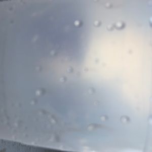 Meet your Posher, Molly